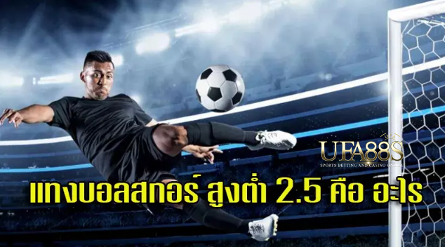 เว็บแทงบอล2.5